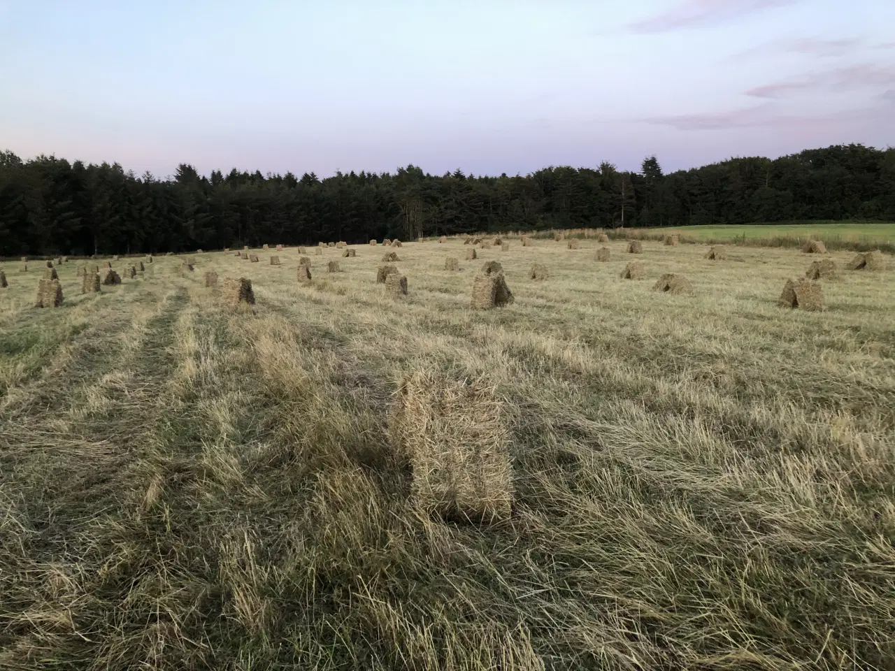Billede 2 - Hø i små baller, Morten Korch baller