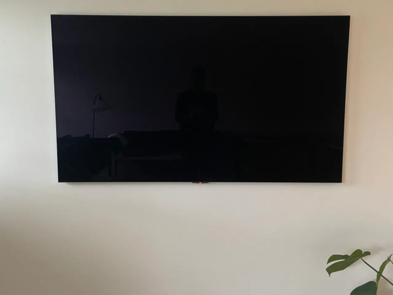 Billede 4 - LG 65" G2 4K OLED evo Gallery