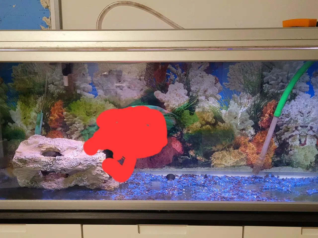 Billede 2 - Akvariet 200 liter