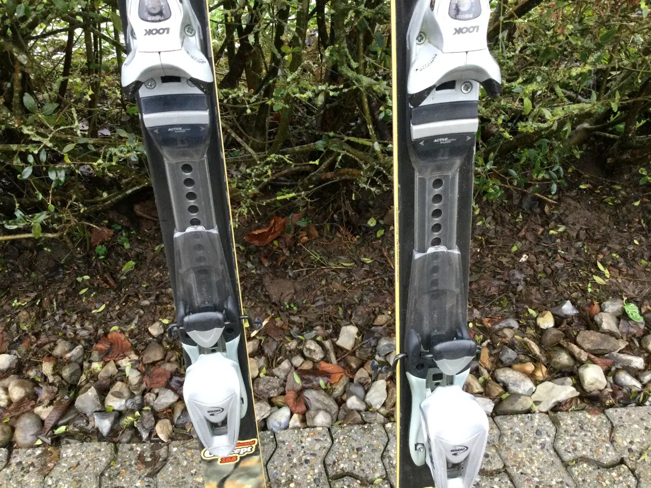 Billede 3 - Carvingski, Dynastar