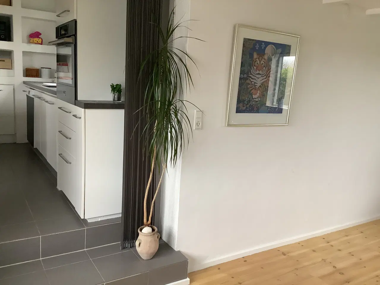 Billede 2 - 2 store planter i krukker -