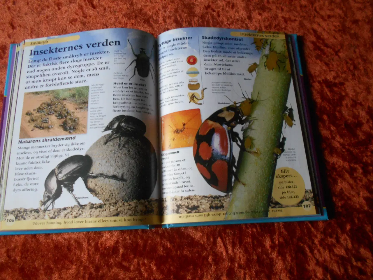 Billede 3 - Dyreleksikon Penelope Arlon,