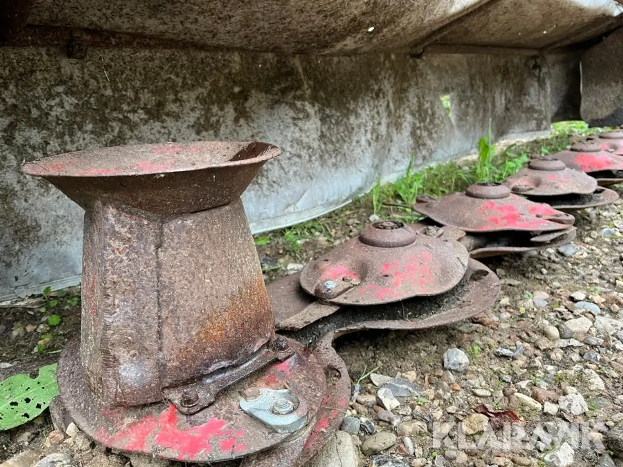 Billede 11 - Skålægger LELY 320 L