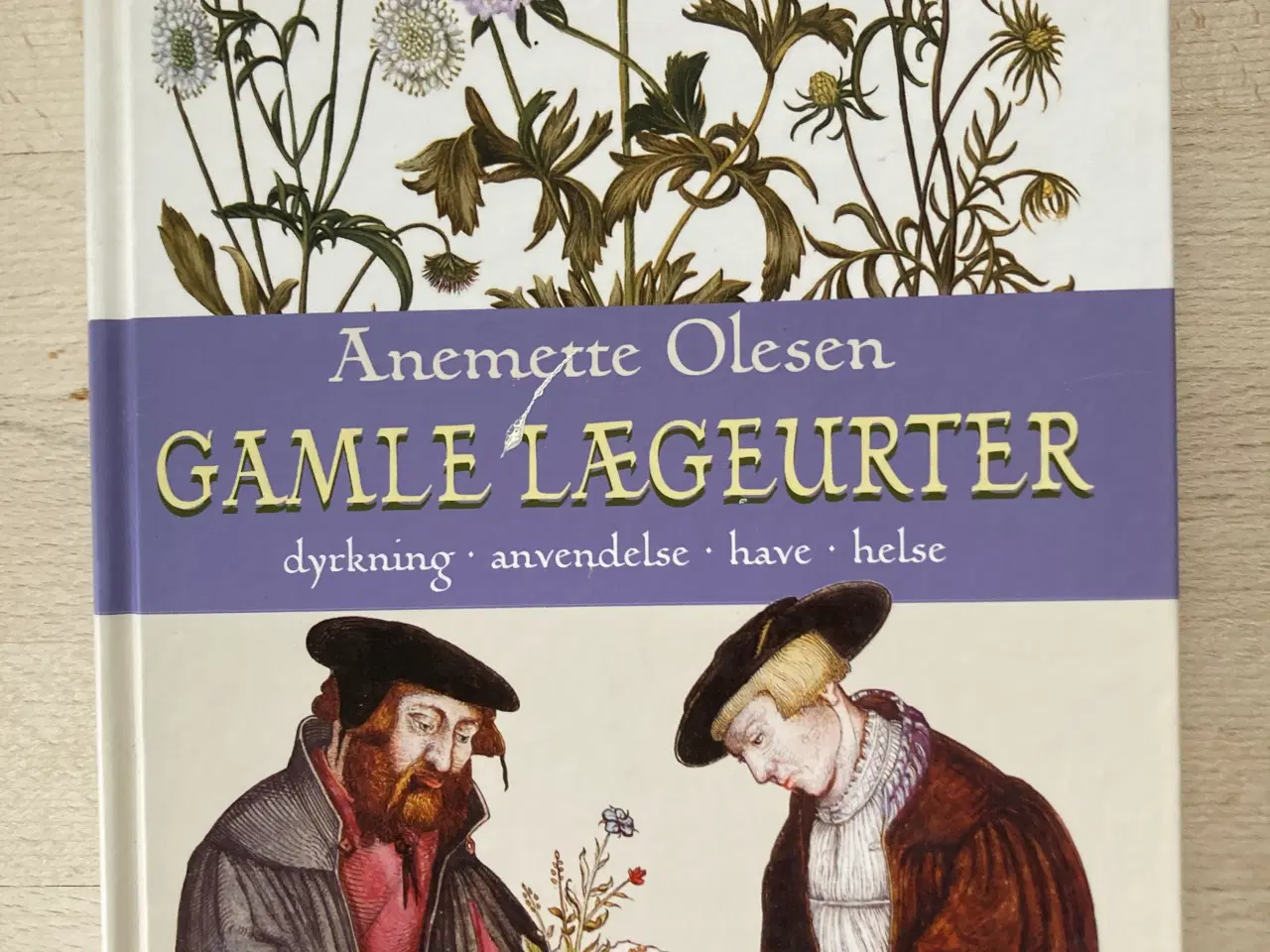 Billede 1 - Gamle lægeurter, Anemette Olesen