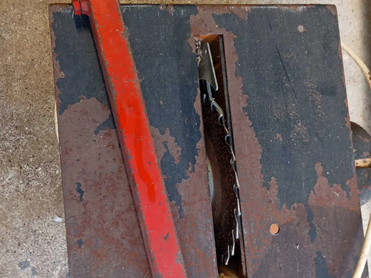 Billede 12 - Bordrundsav. 