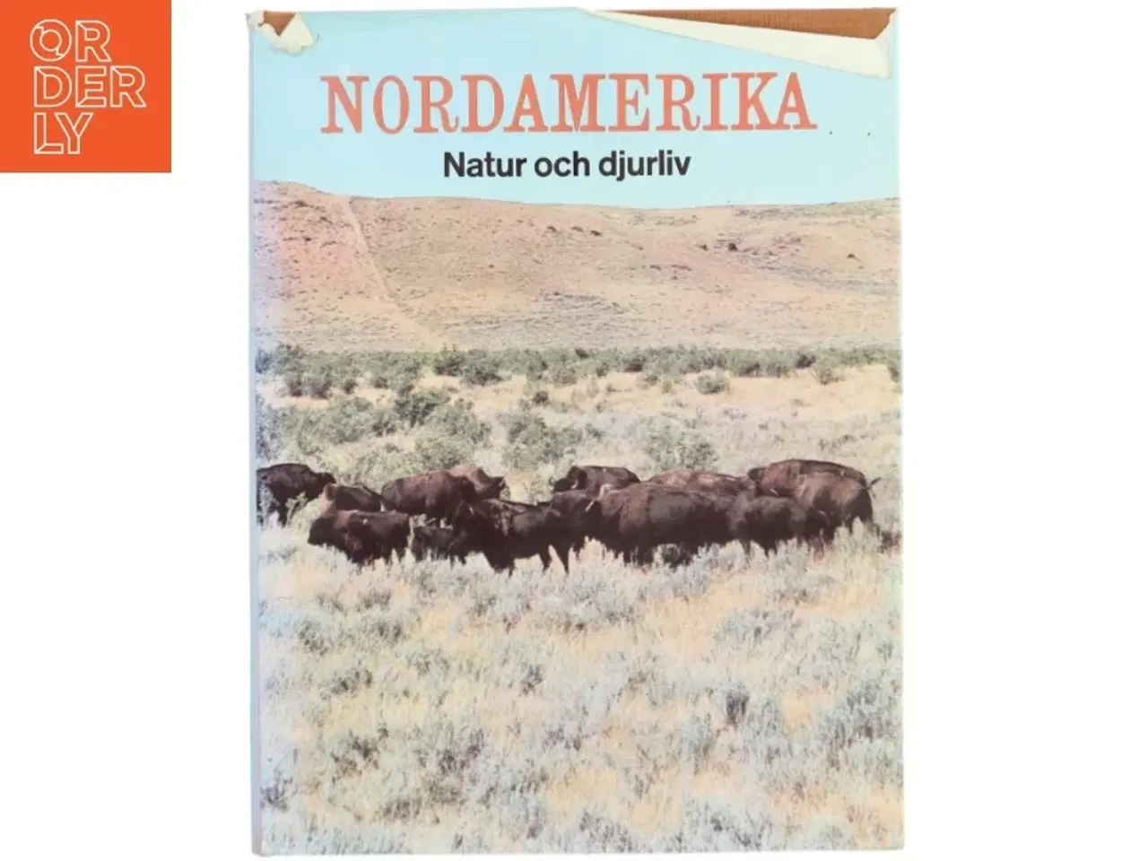 Billede 1 - Bog om Nordamerikas natur og dyreliv fra Life