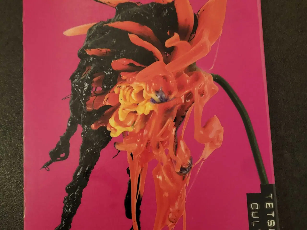 Billede 1 - Tetsumi Kudo: Cultivation