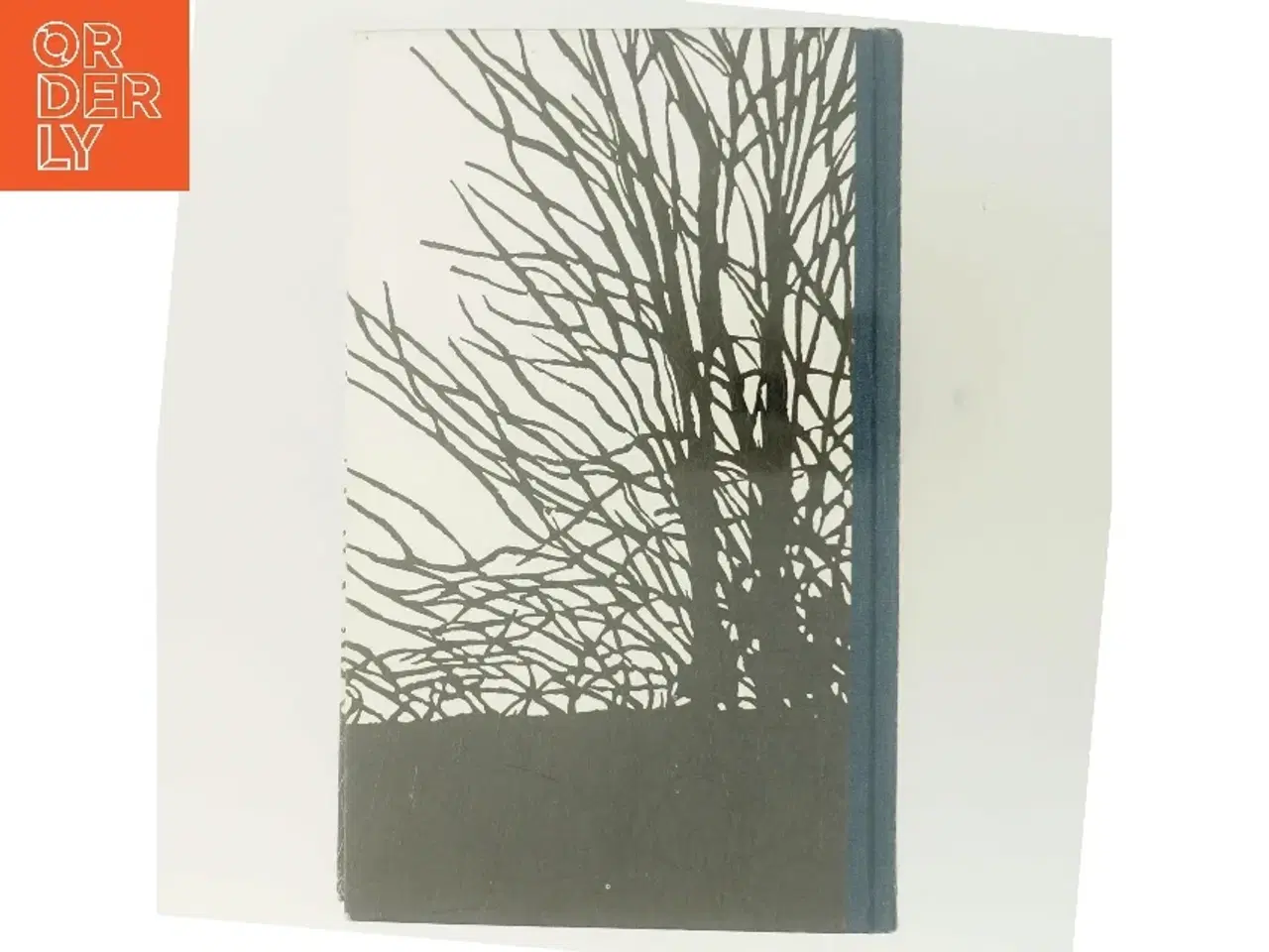 Billede 4 - Aftenstjernen af Dea Trier Mørch (Bog)