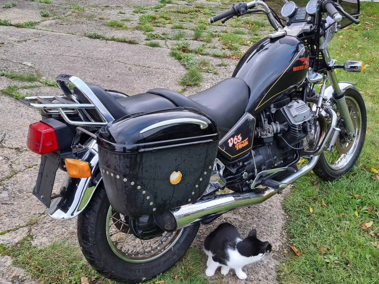 Billede 9 - Motoguzzi 