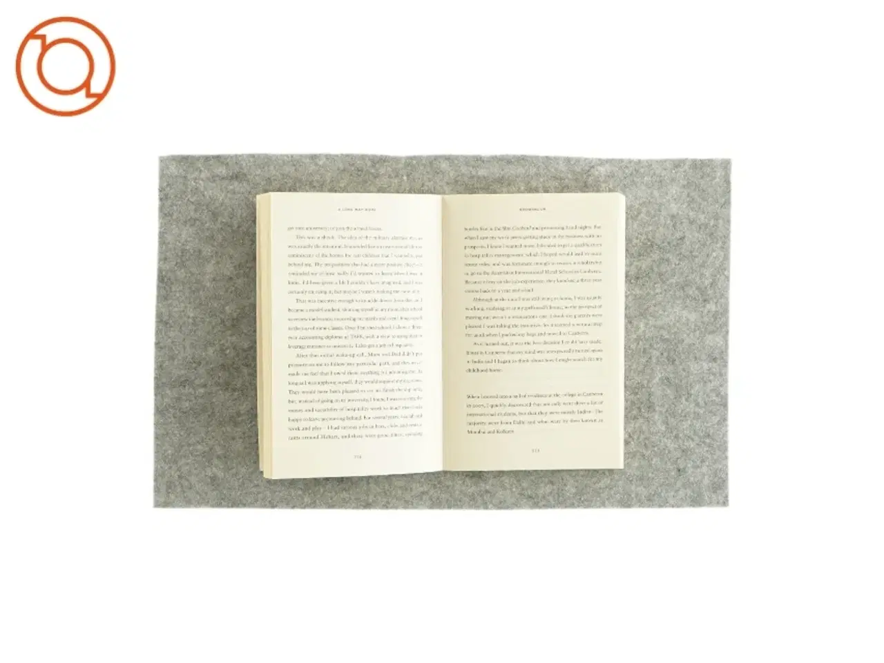 Billede 3 - Lion af Saroo Brierley (bog)