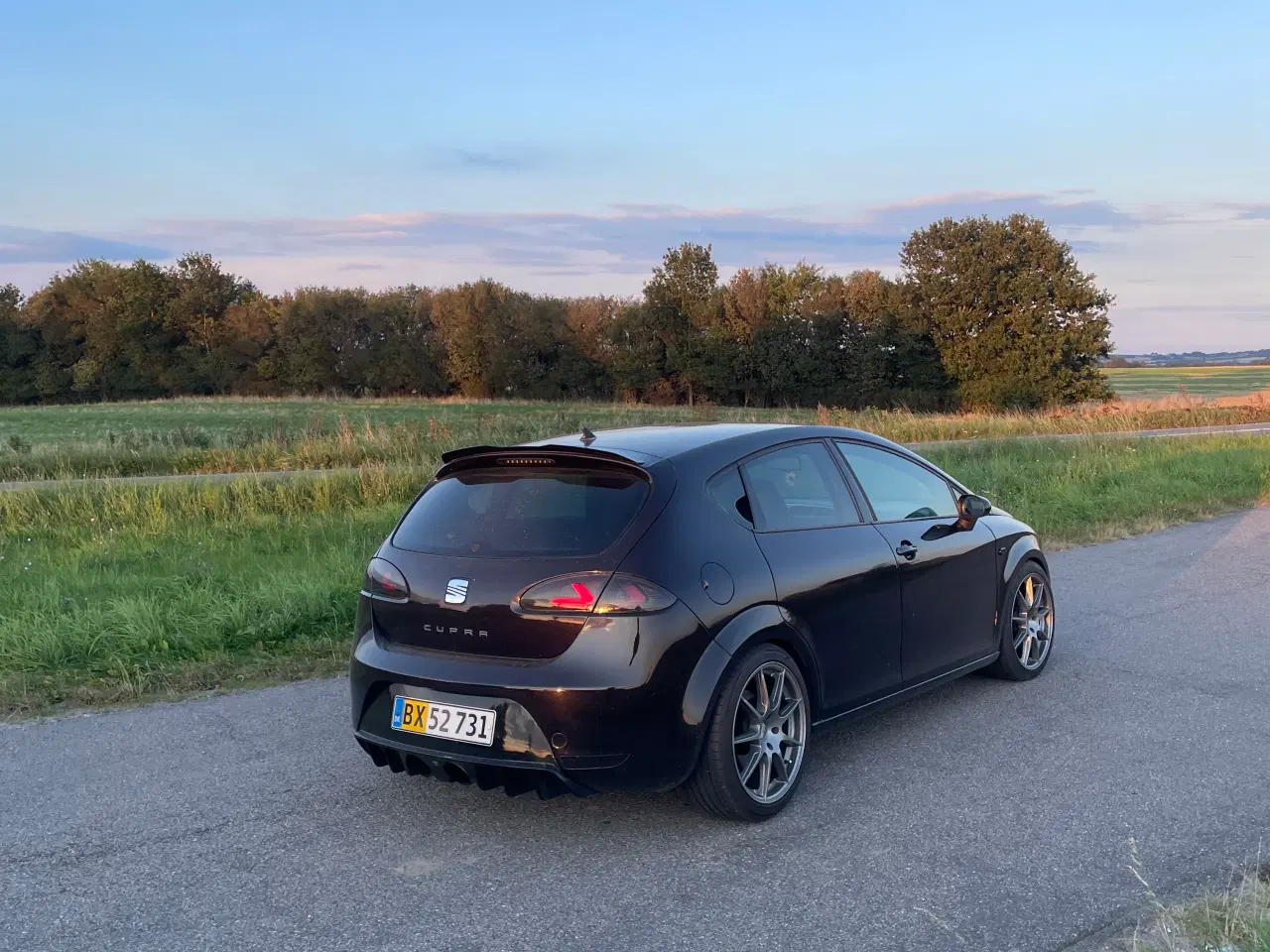 Billede 3 - Seat Leon Cupra 1P