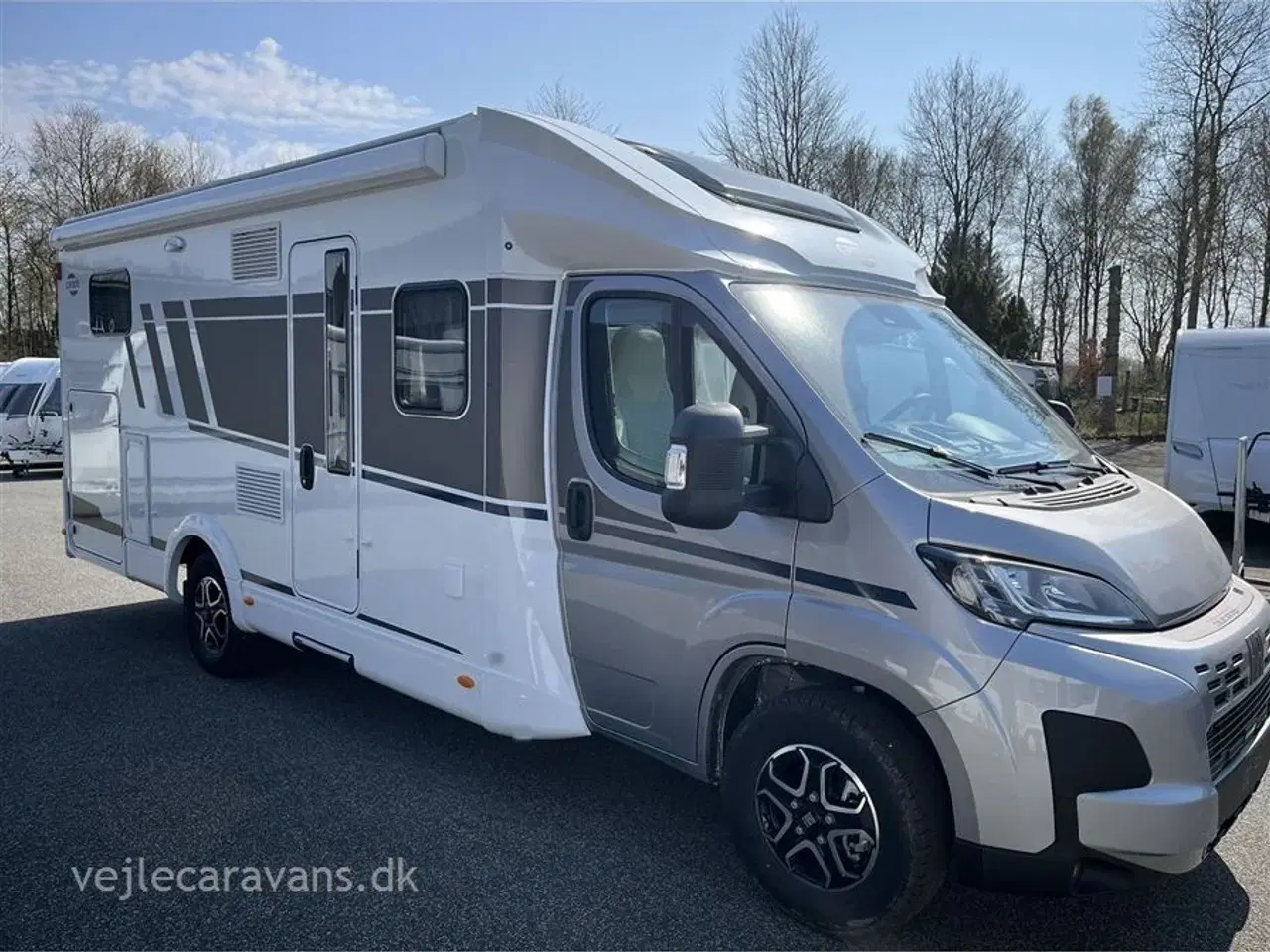 Billede 3 - 2026 - Carado T 447