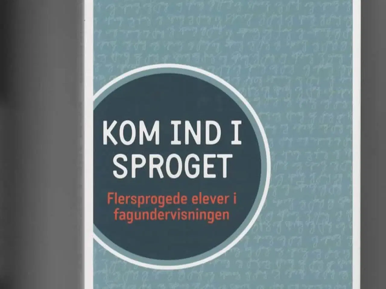 Billede 1 - flersprogede