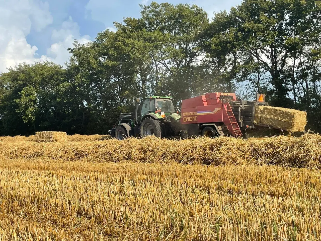 Billede 3 - PRESNING AF HALM TILBYDES