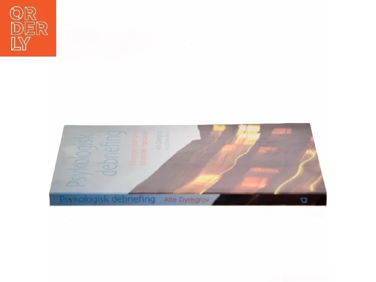 Billede 2 - Psykologisk debriefing : gruppeprocesser efter traumatiske hændelser af Atle Dyregrov (Bog)