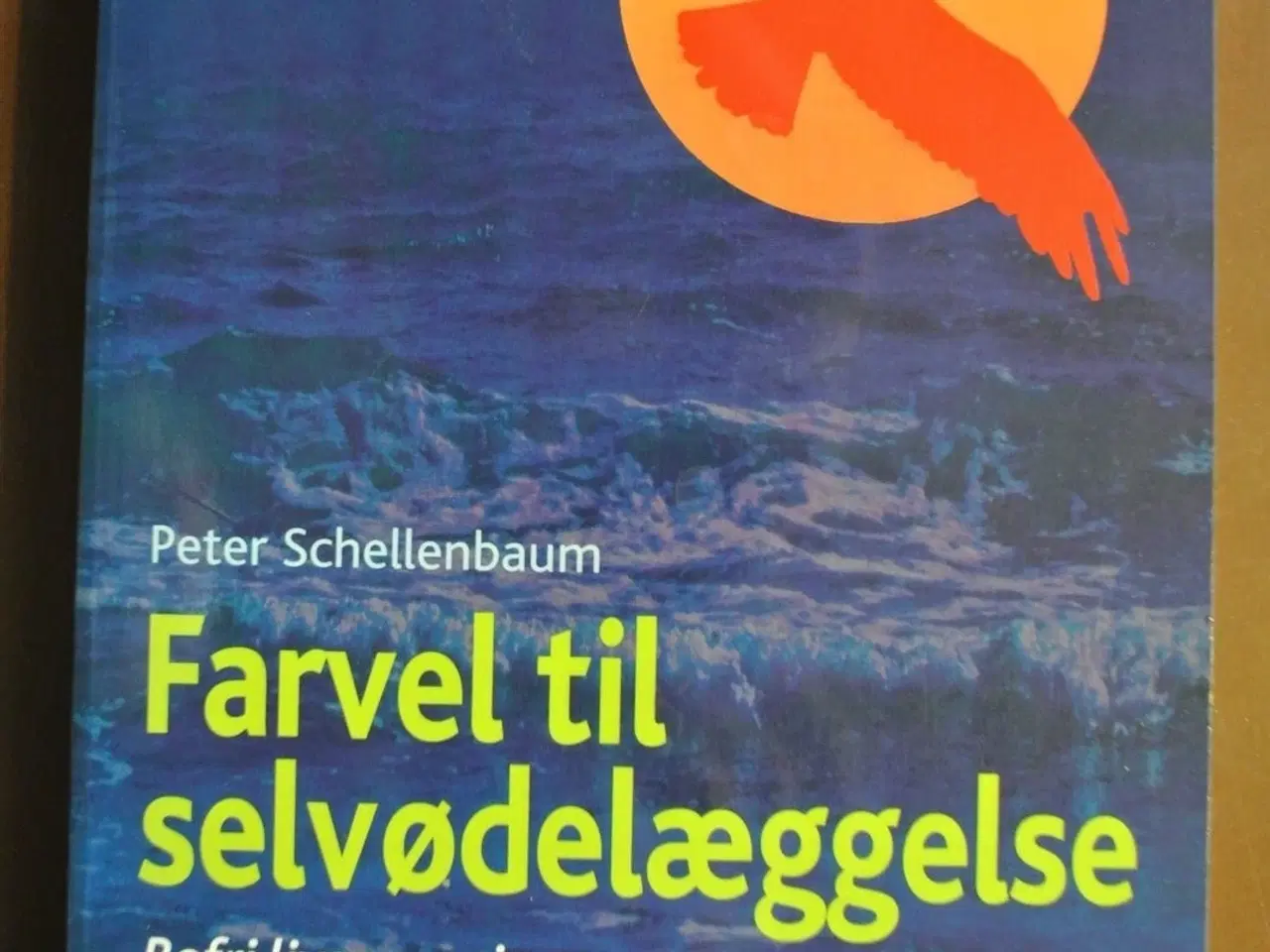 Billede 1 - farvel til selvødelæggelse - befri livsenergien, a