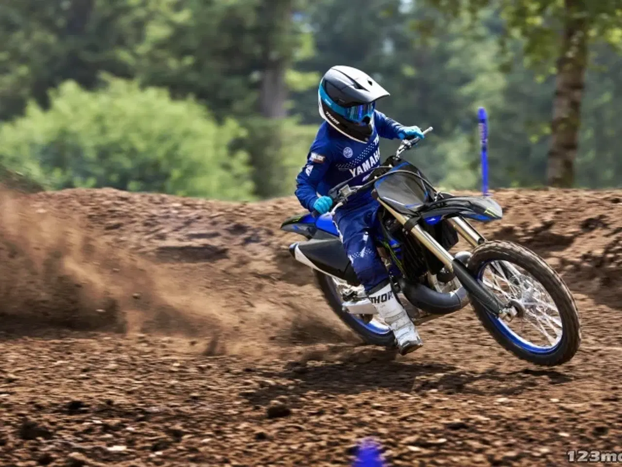 Billede 2 - Yamaha YZ 250 LC Monster Energy Yamaha Racing Edition