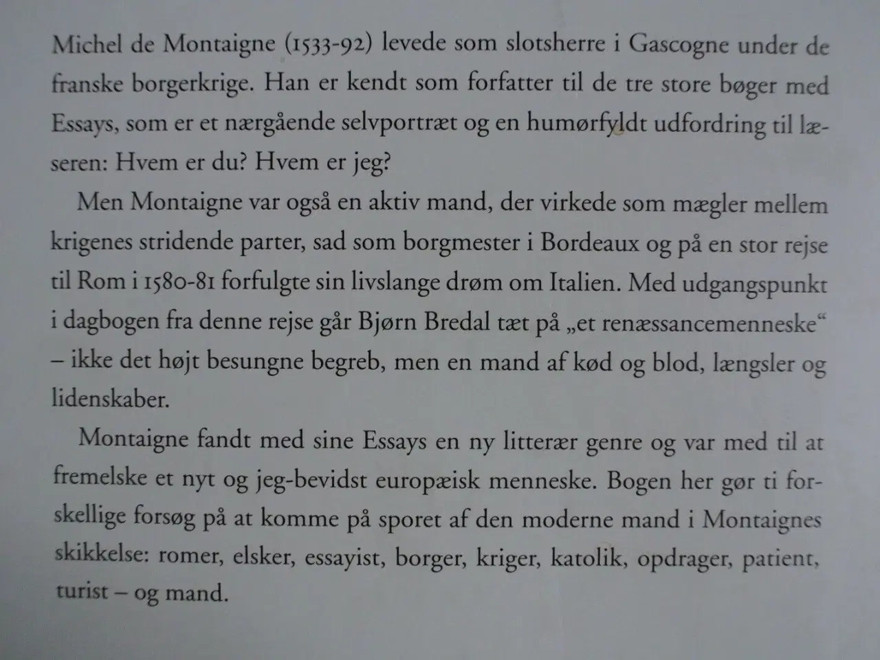Billede 3 - et renæssancemenneske - michel de montagne, af bjø
