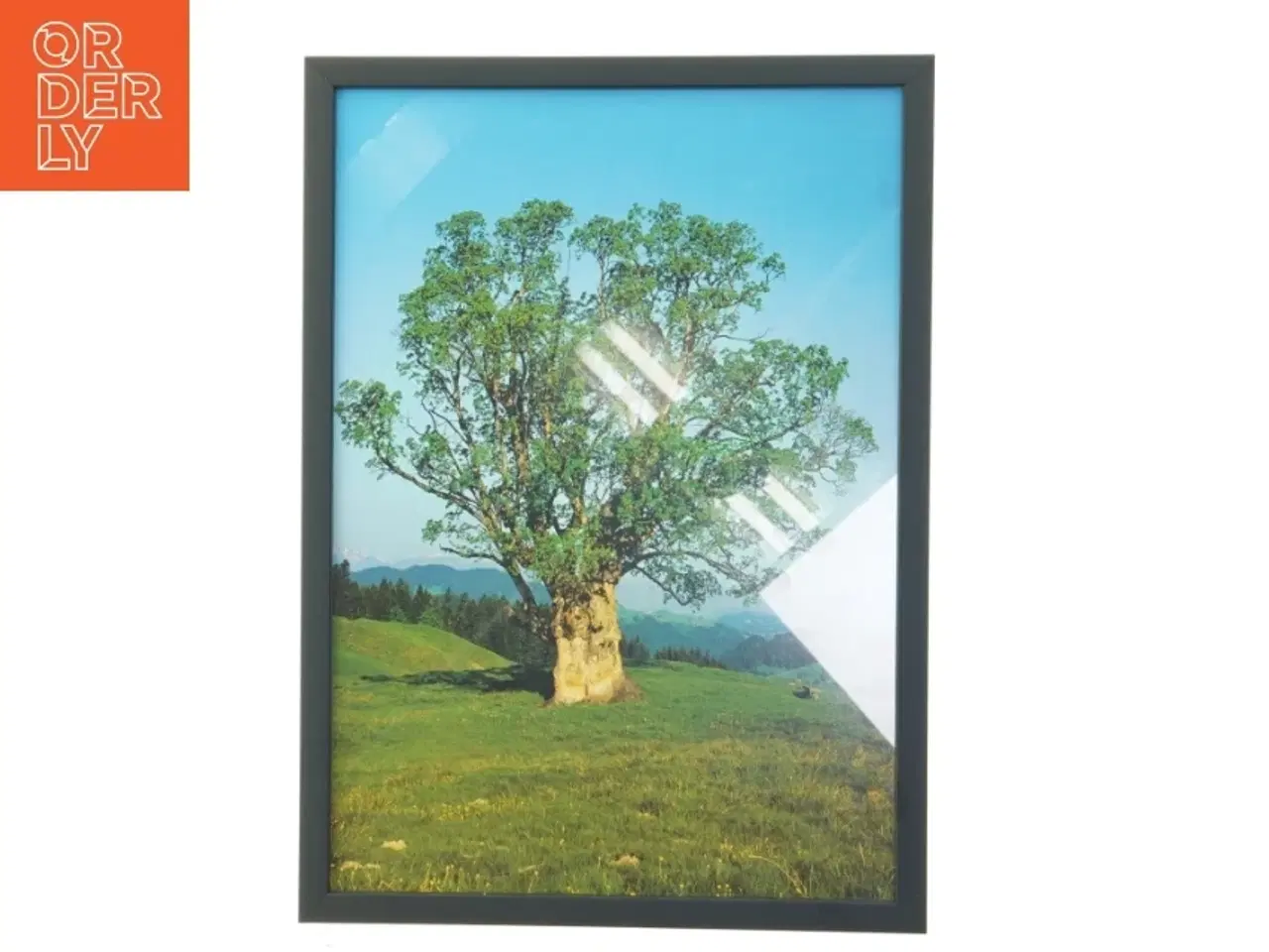Billede 1 - Billede med ramme af træ (str. 29,8x42 cm)