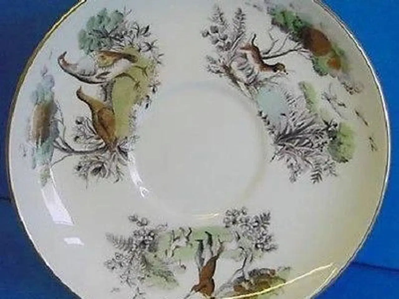 Billede 2 - Royal Worcester - te kop med underkop