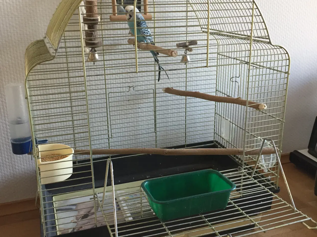 Billede 1 - fuglebur med fugl