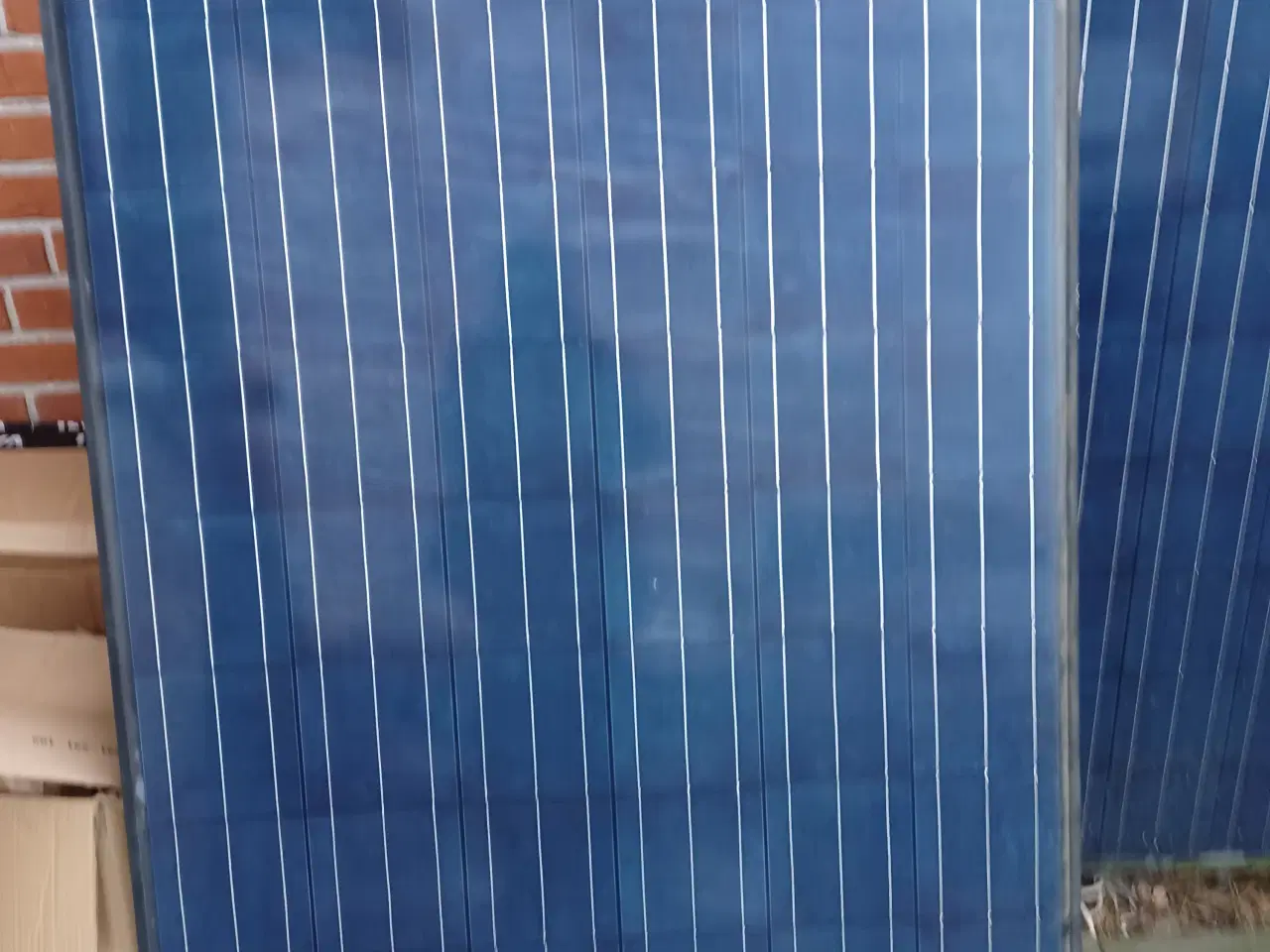 Billede 1 - 240W brugte solpaneler. 100stk haves.