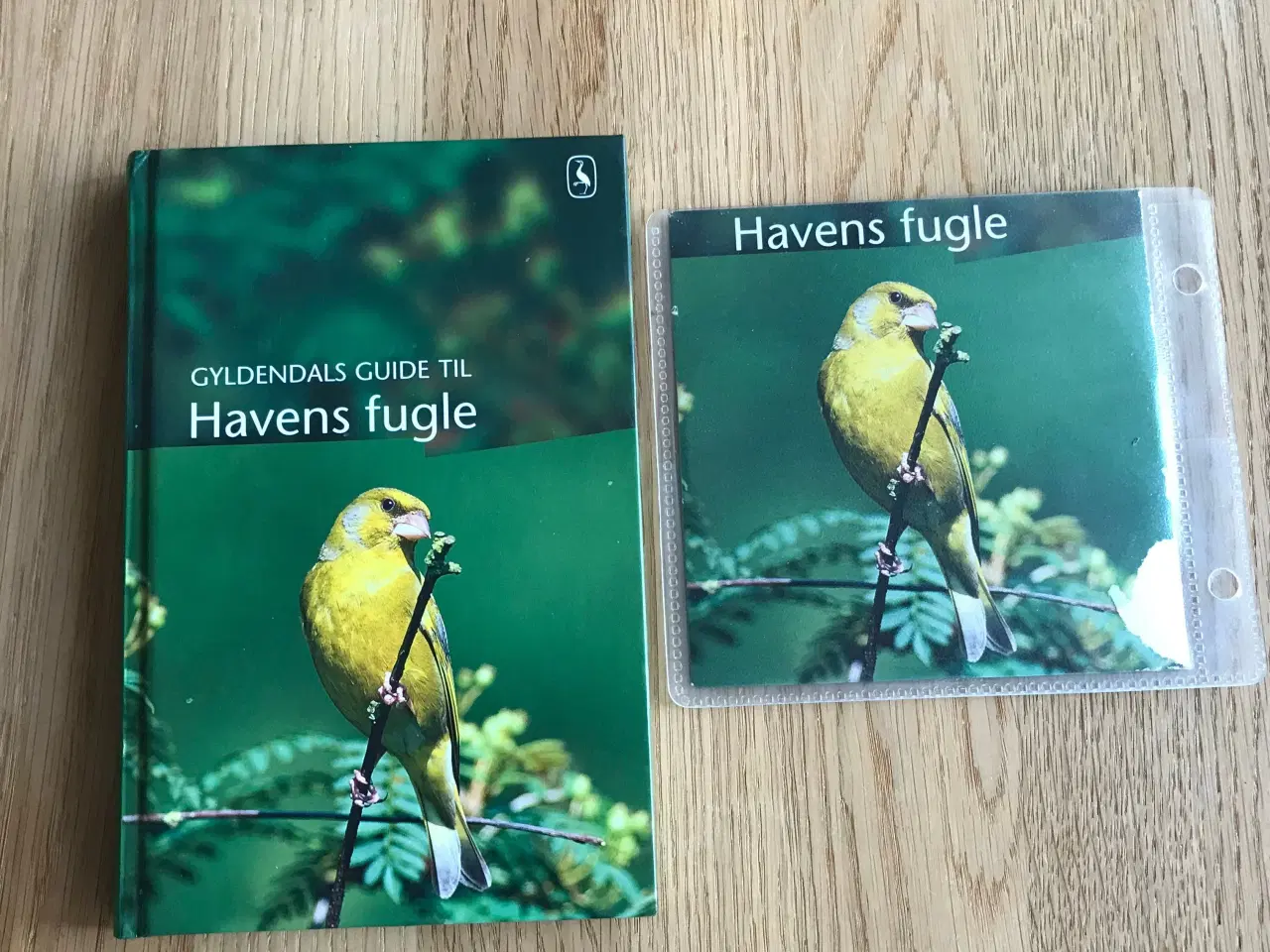 Billede 1 - Gyldendals guide til  Havens fugle
