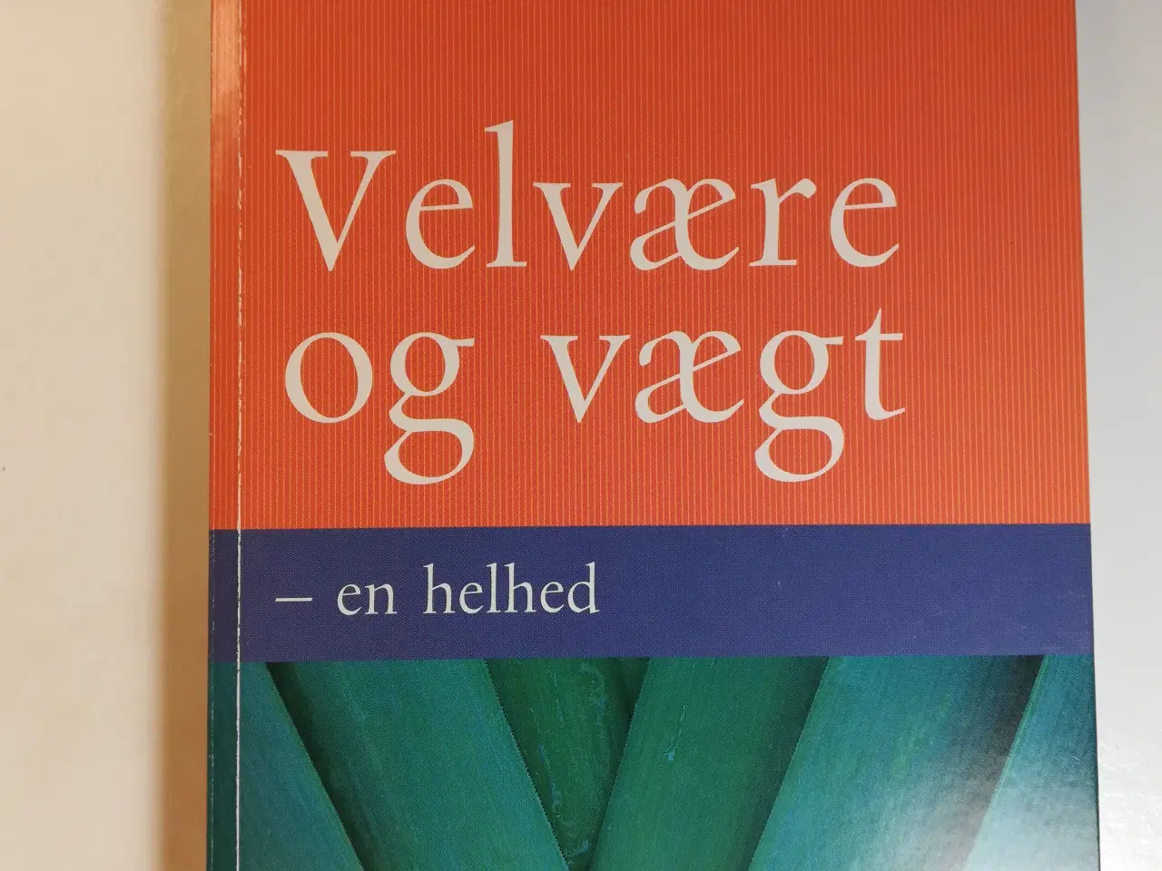 Billede 1 - Velvære og vægt - en helhed, af Hanne Svendsen    