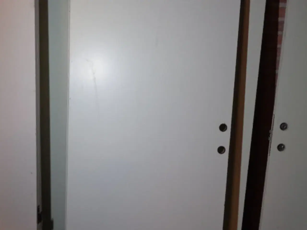 Billede 1 - Trædør med stålkarm