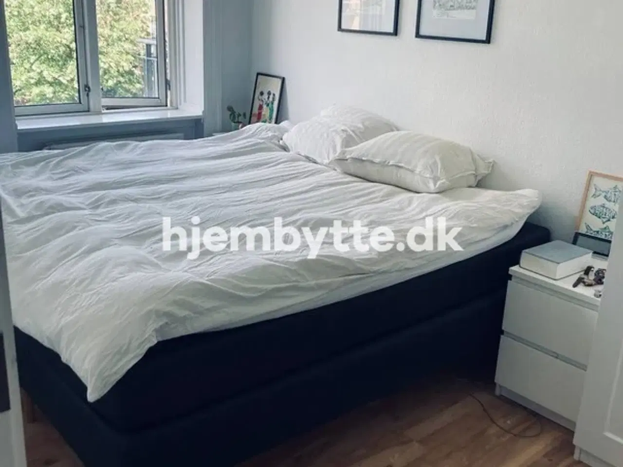 Billede 5 - Hjembytte - Ryesgade