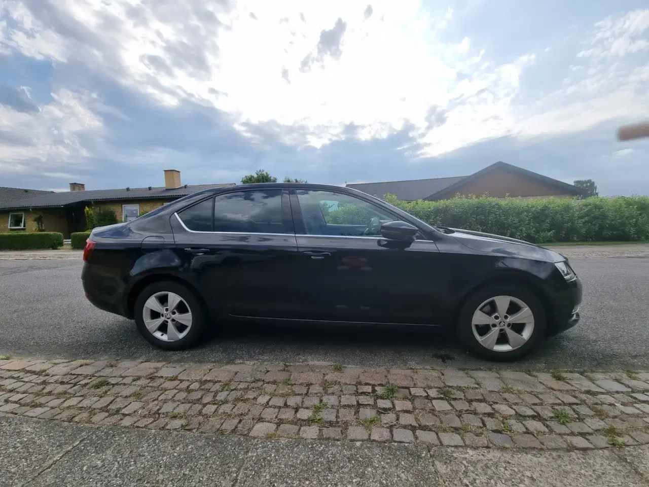Billede 4 - Skoda Octavia 1,0 TSi 115 Style DSG