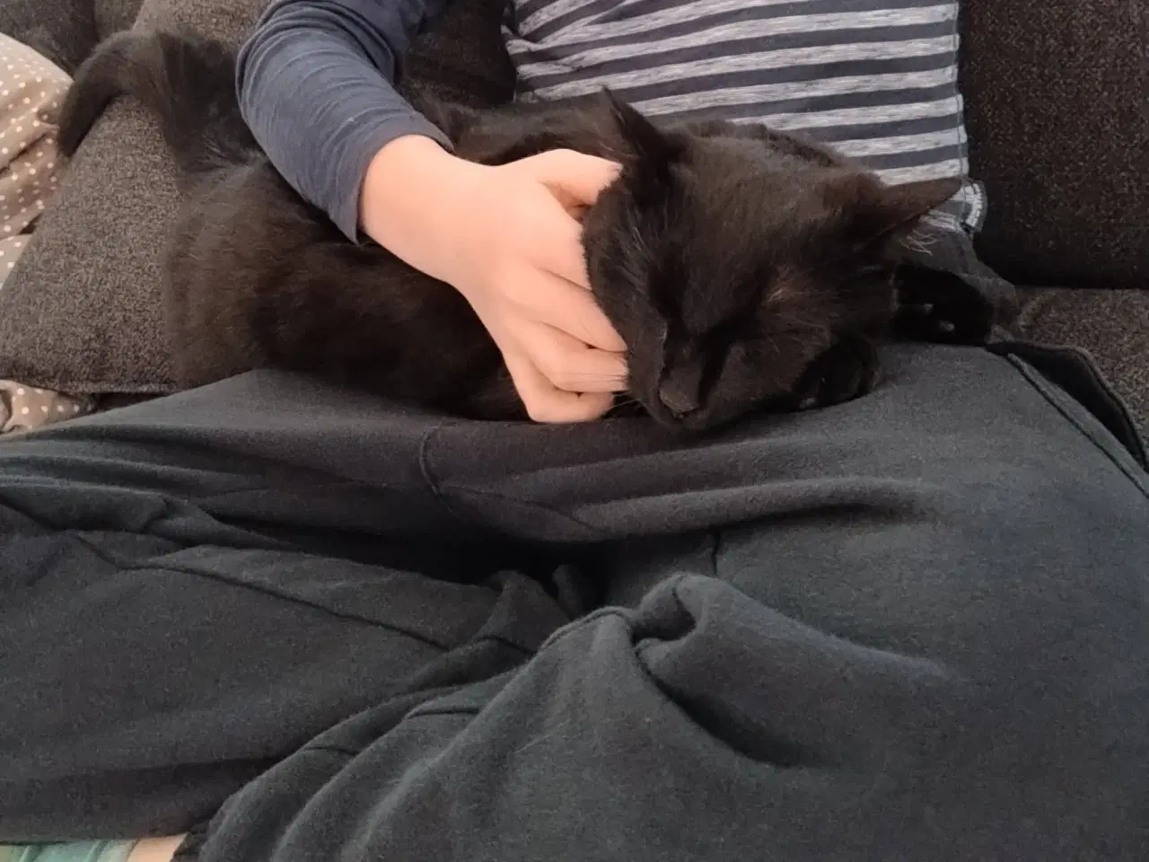 Billede 2 - Sød og nem nussemis 