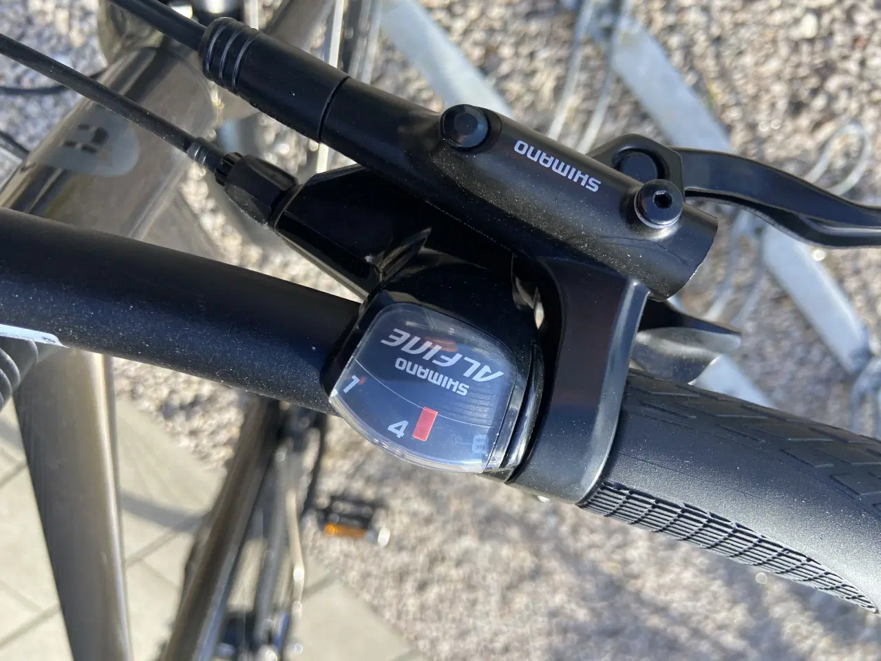 Billede 6 - Companion C4, 56 cm 
