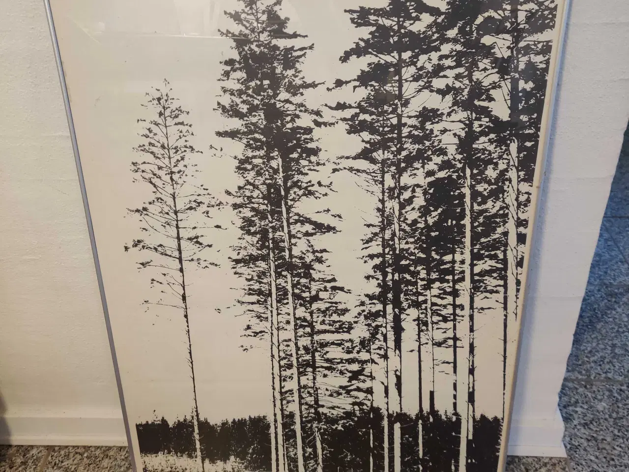 Billede 1 - Plakat med sort-hvidt skovmotiv