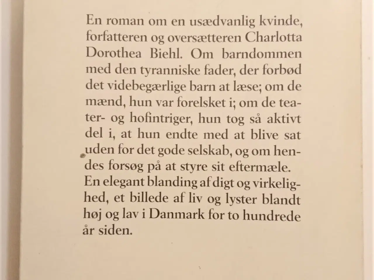 Billede 2 - Skriverjomfruen, Mette Winge