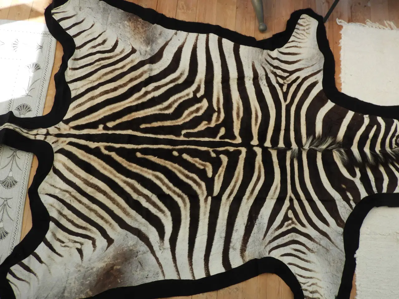 Billede 1 - Jagttrofæ Zebra skind