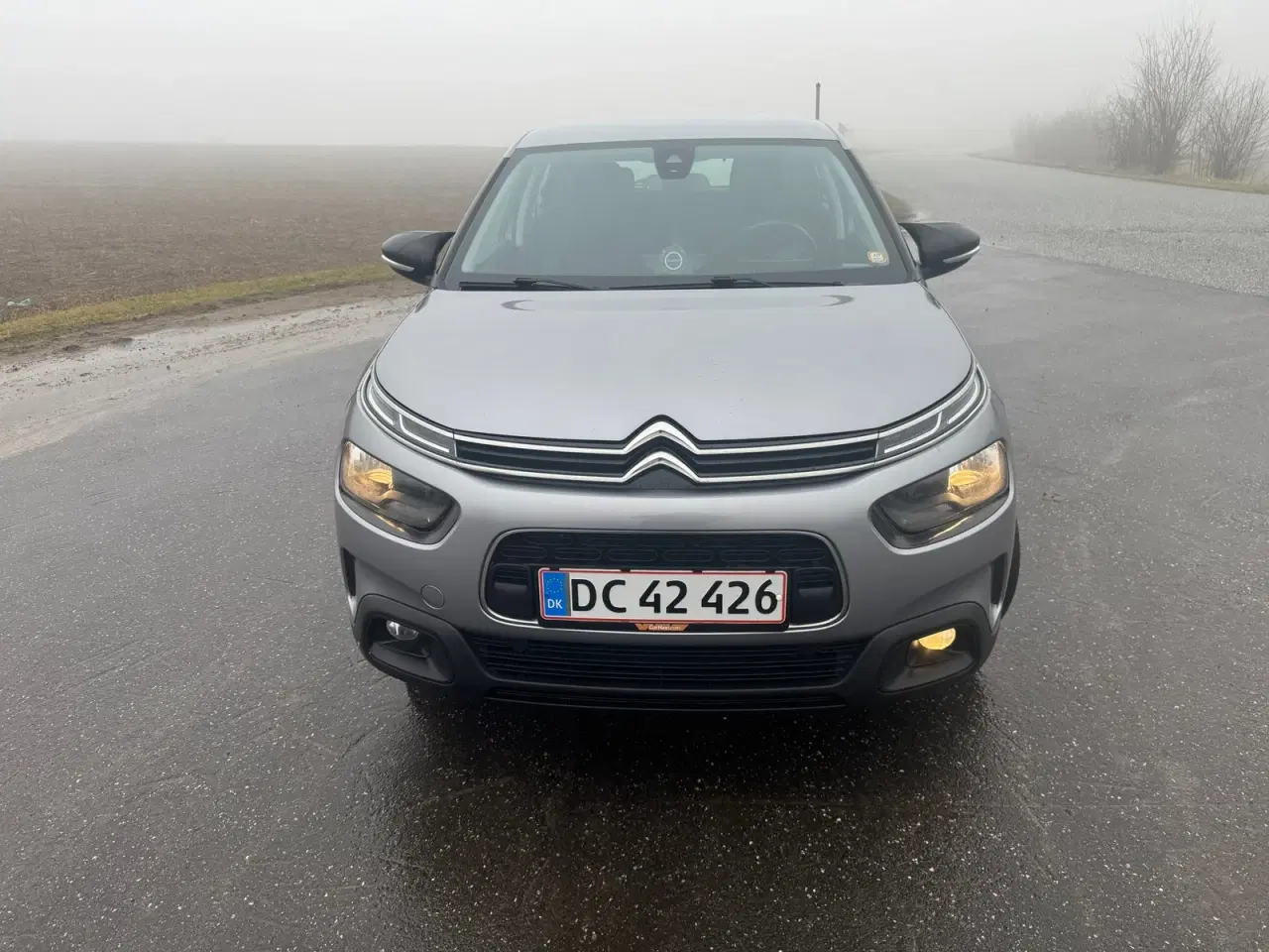 Billede 1 - Citroën C4 Cactus 1,2 PureTech 110 Platinum