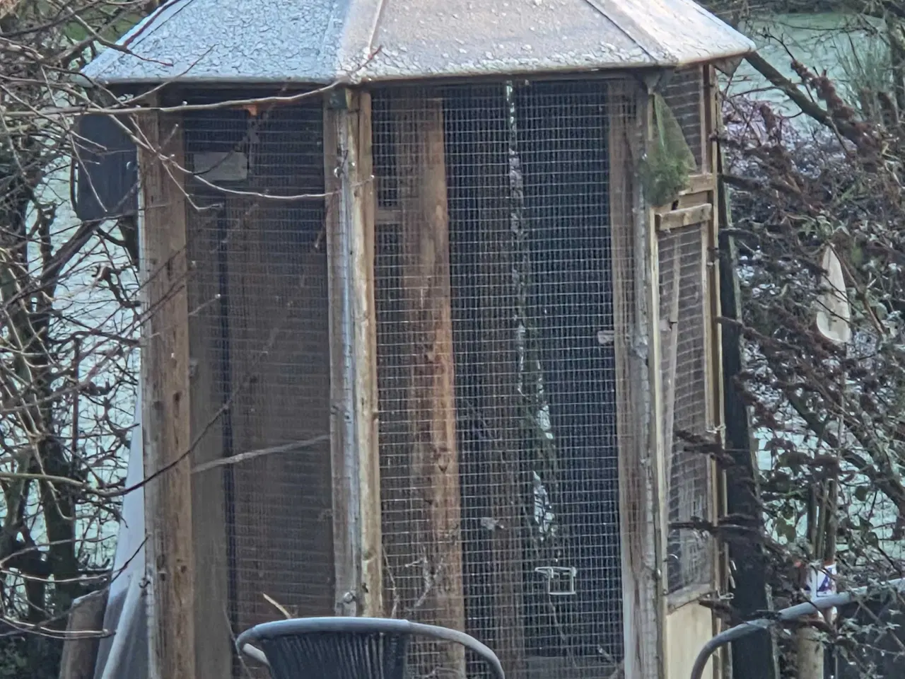 Billede 2 - Ældre voliere brugt til kanarier