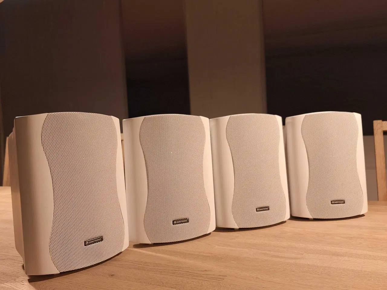 Billede 1 - Omnitronic C-50 højtalere