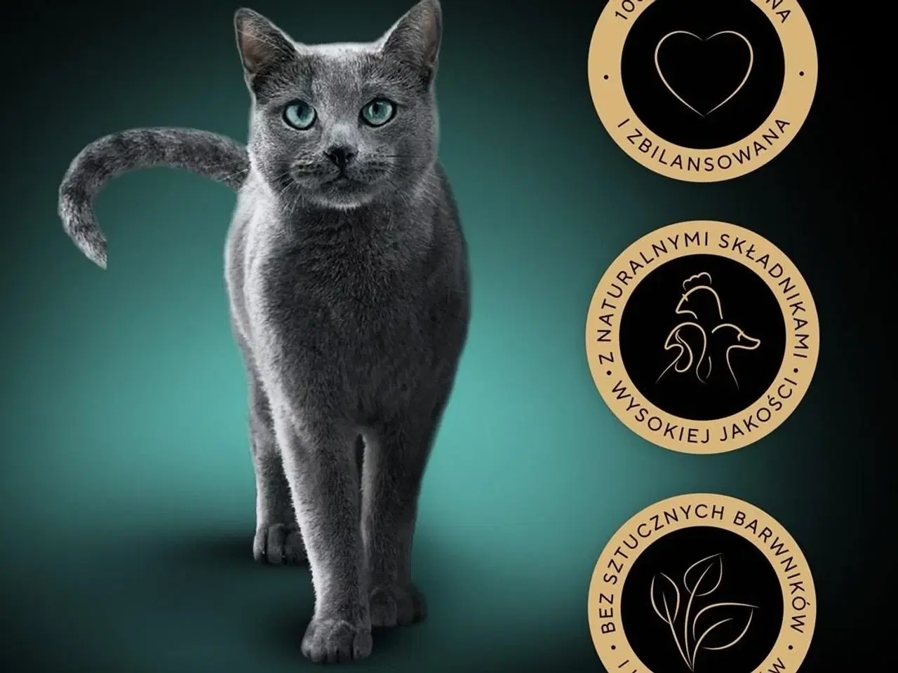 Billede 11 - Vådfoder til kat – Sheba Delicacy Fjerkræ i gelé, 40×85 g