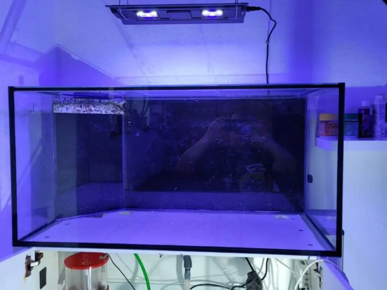 Billede 2 - Saltvandsakvarium med alt udstyr