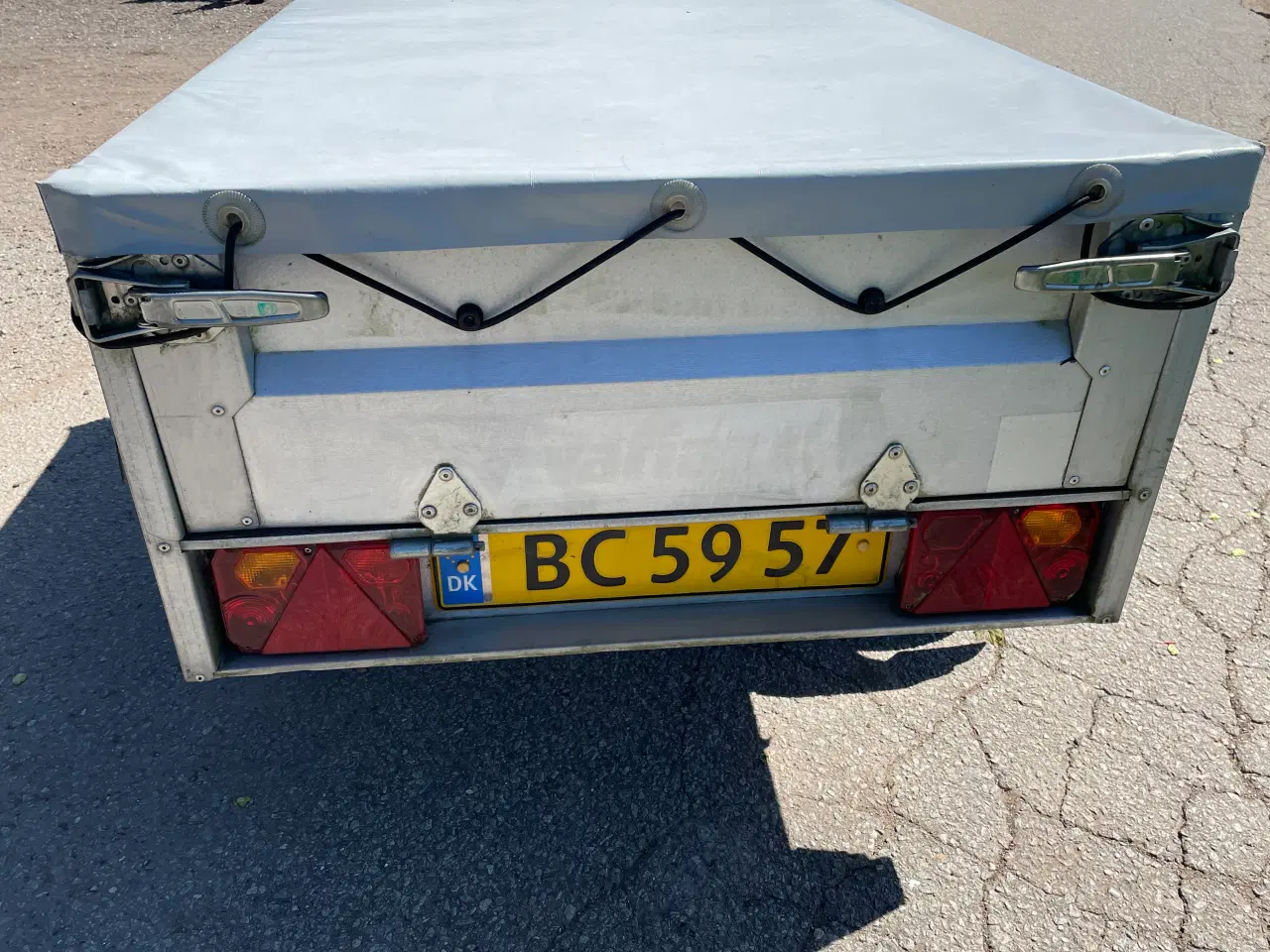 Billede 5 - Nysynet 500kg variant trailer 