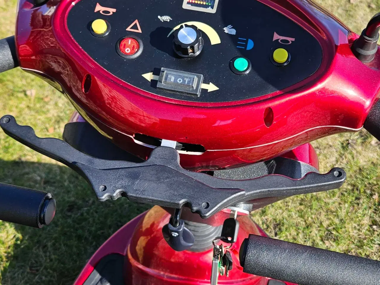 Billede 4 - Pegasus lærken 3