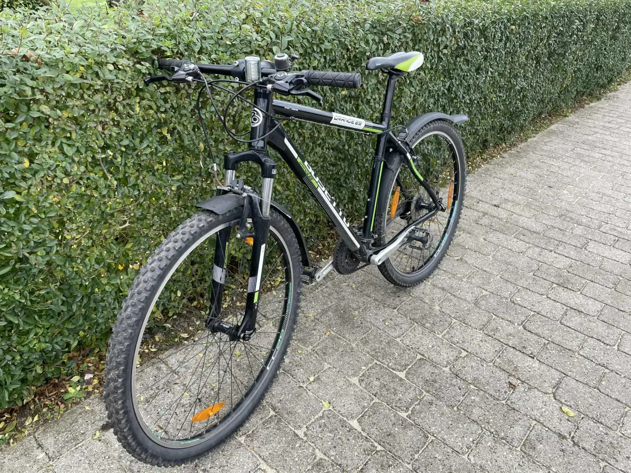 Billede 2 - Busetto mountainbike Grande 29”