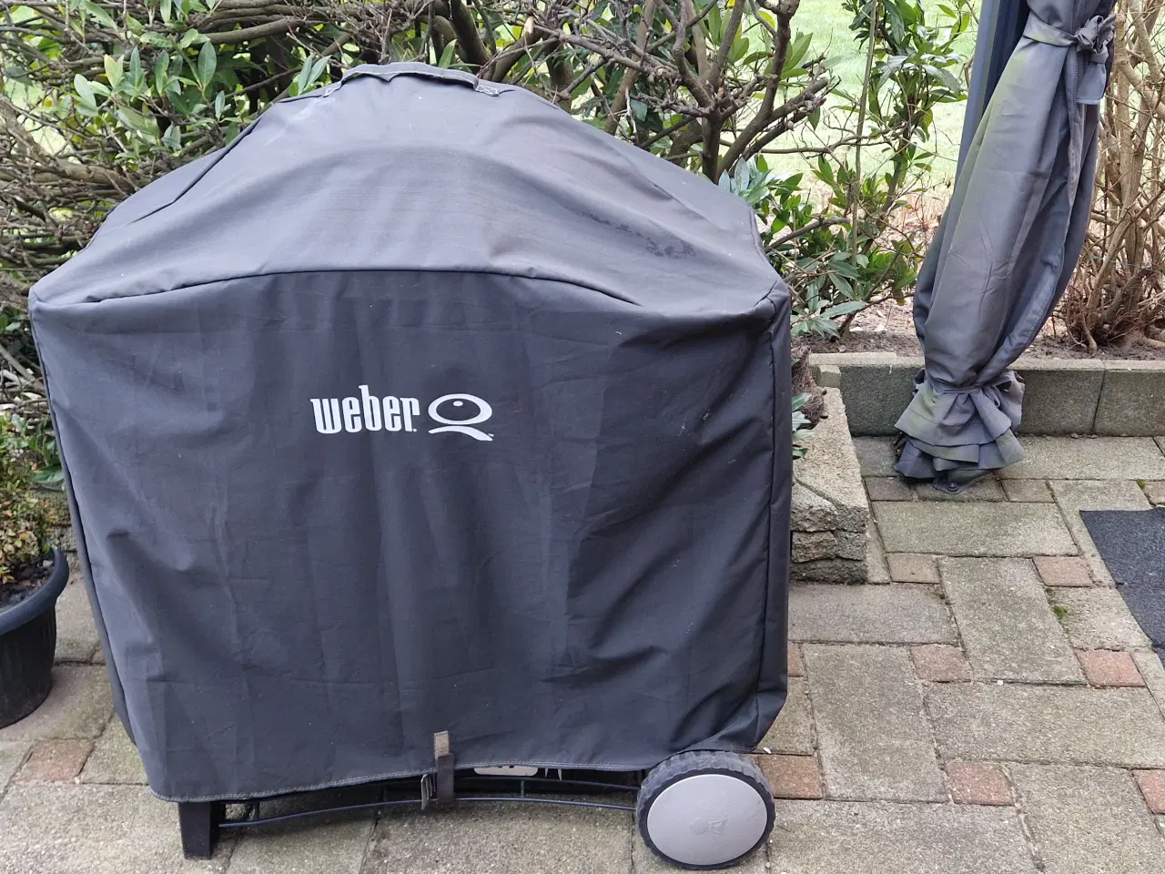 Billede 1 - Weber Q300 Gasgrill