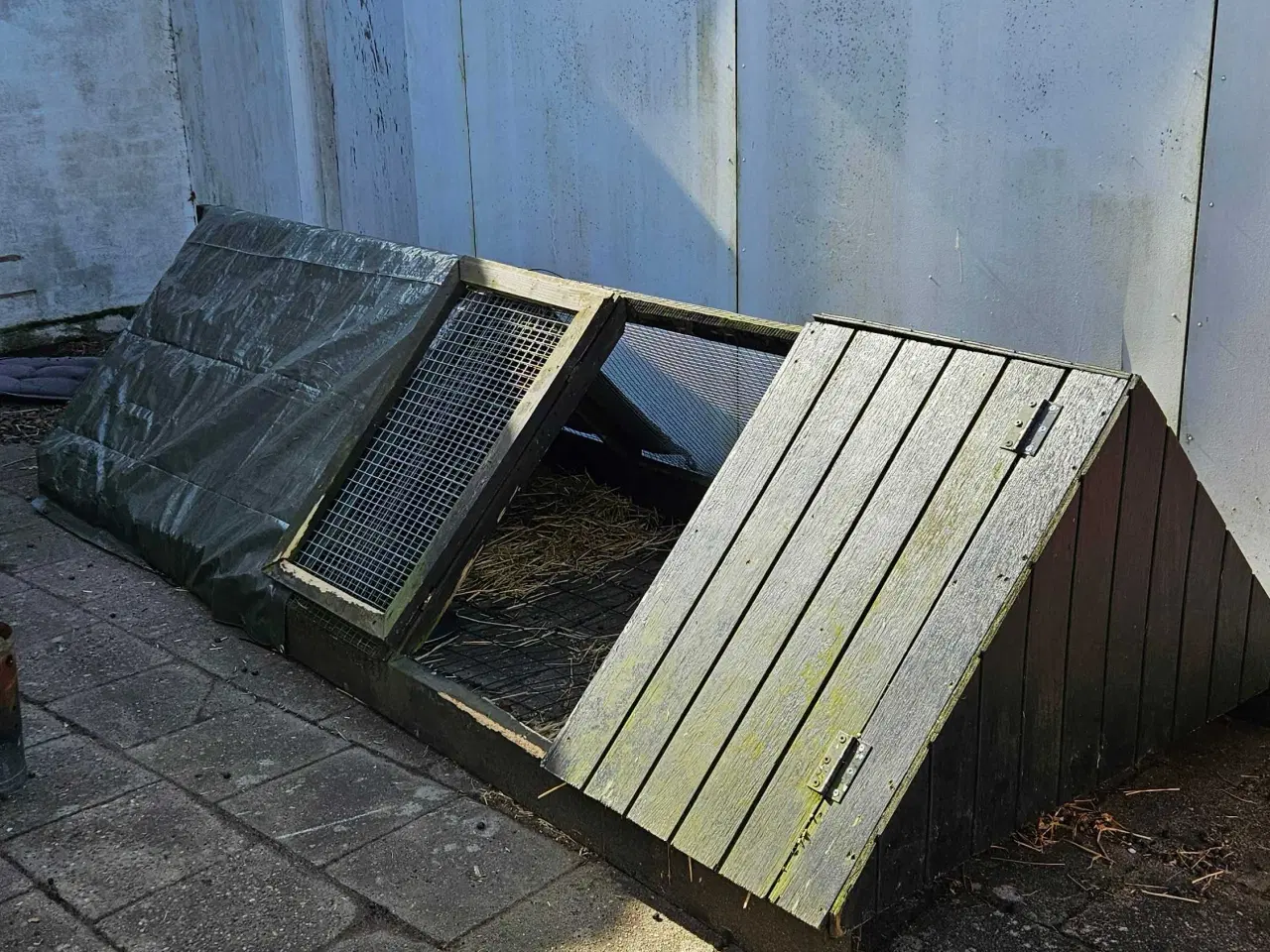 Billede 1 - 2 kaniner gives bort 