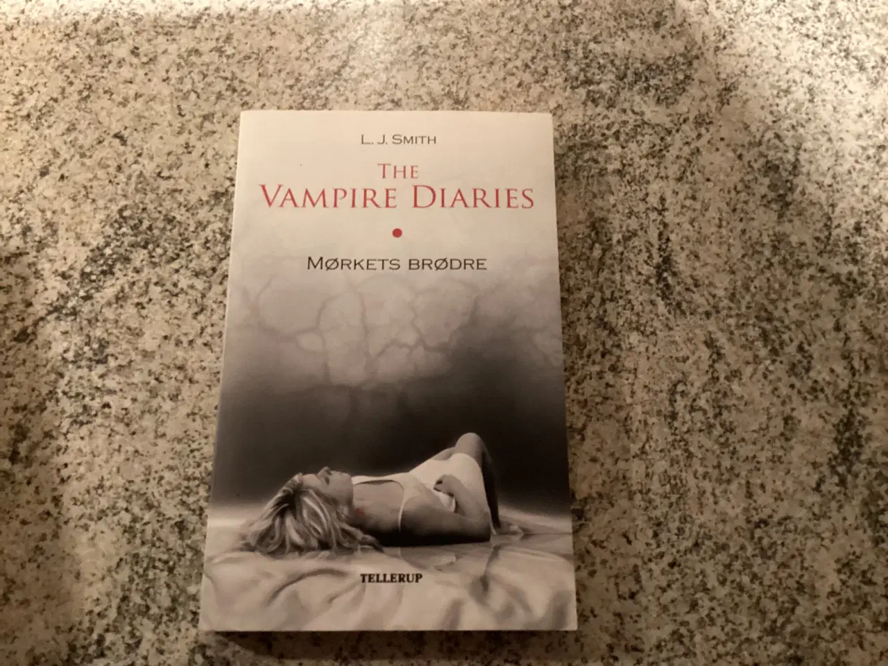 Billede 1 - Bogen The Vampire Diaries Mørkets Brødre