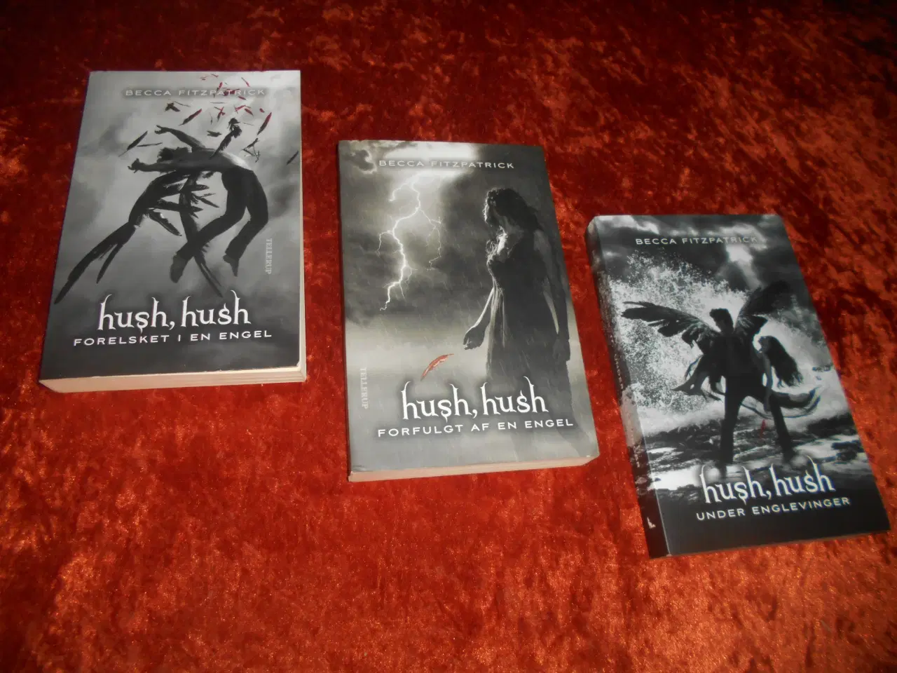 Billede 1 - Hush, hush, Becca Fitzpatrick