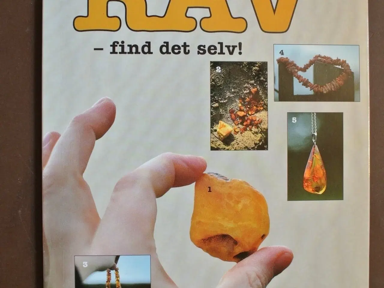 Billede 1 - rav - find det selv, af stefan hestnes, emne: ande