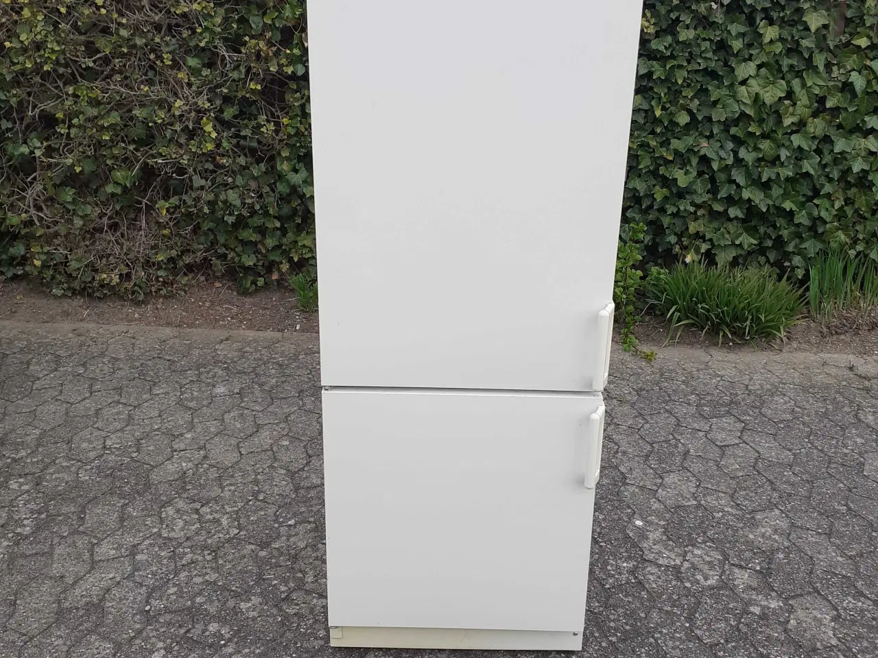 Billede 1 - Køle fryseskab 